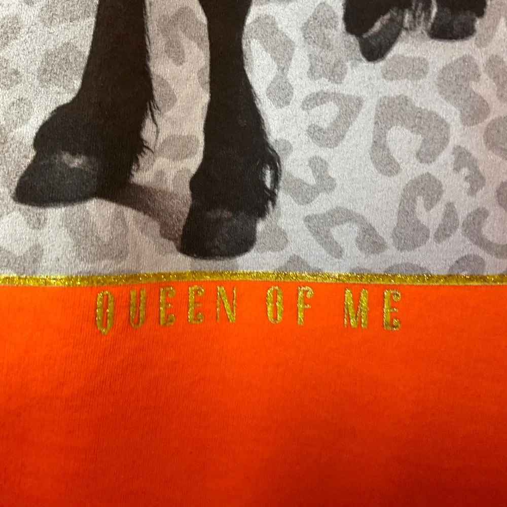 Shania Twain Queen Of Me Orange Hoodie Size Large - Picture 4 of 5